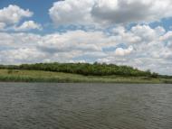 Суженка - Последние фото