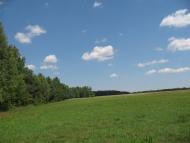 Піски-Річицькі з panoramio.com