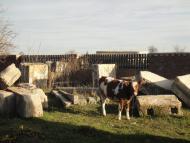 Лозова - Останні фото