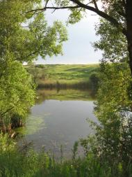 Безім'яне з panoramio.com