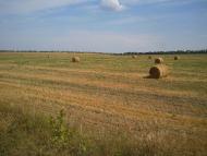 Жовтневе - Останні фото