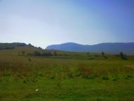 Аромат з panoramio.com