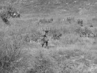 Високогірне з panoramio.com