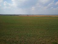 Жовтневе з panoramio.com