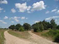 Піски-Річицькі з panoramio.com