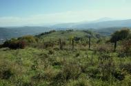Забрідь з panoramio.com