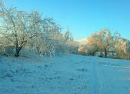 Балки з panoramio.com