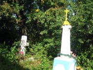 Цибулівка - Останні фото