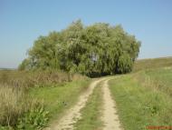 Дідківці з panoramio.com