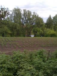 Кордонівка - Останні фото