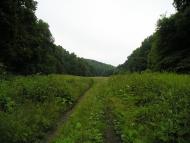 Пролетарське з panoramio.com