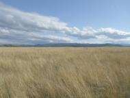 Бабче з panoramio.com