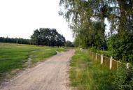 Шубков - Последние фото