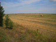 Жовтневе - Останні фото