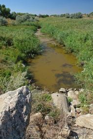 Ручаївка з panoramio.com