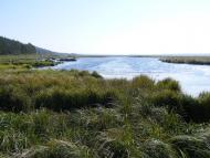 Ренів з panoramio.com