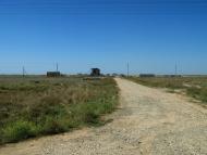 Шишкине - Останні фото