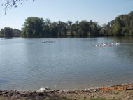 Ледыховка - Последние фото