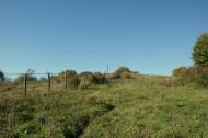 Забрідь з panoramio.com