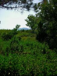 Плотинне з panoramio.com