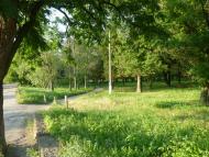 Кремінець з panoramio.com