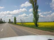 Октябрь - Последние фото