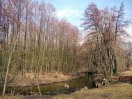 Велика Лука