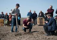 Сільське господарство