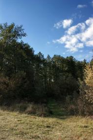 Велика Лука