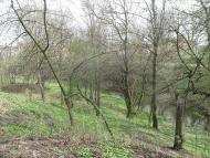 Городок, як тебе не любити...