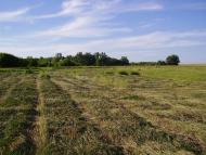 Велика Лука