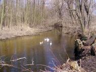 Велика Лука