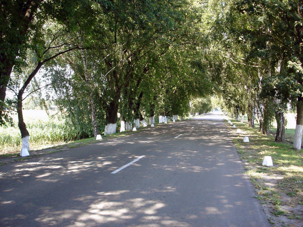 Ковалівка з panoramio.com - Ковалівка