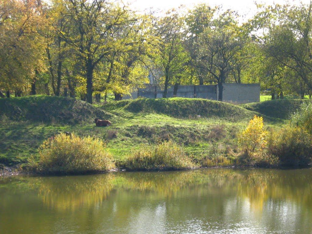 Калінінське з panoramio.com - Калінінське