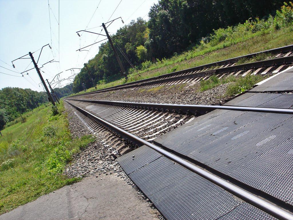 Ковалівка з panoramio.com - Ковалівка