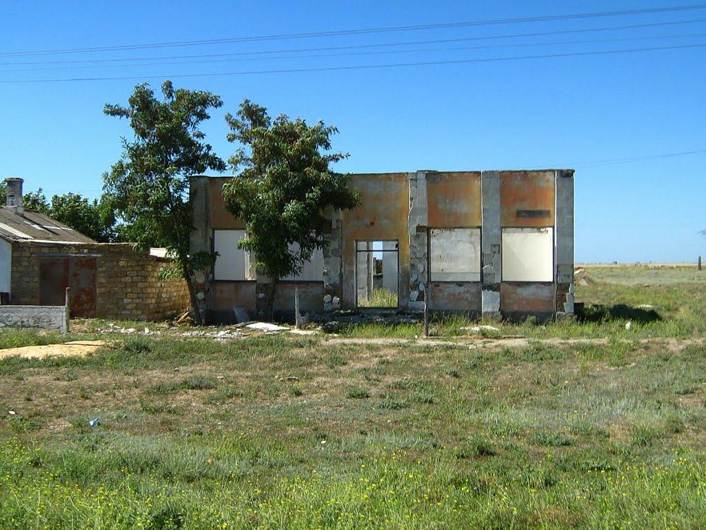 Шишкине з panoramio.com - Шишкине