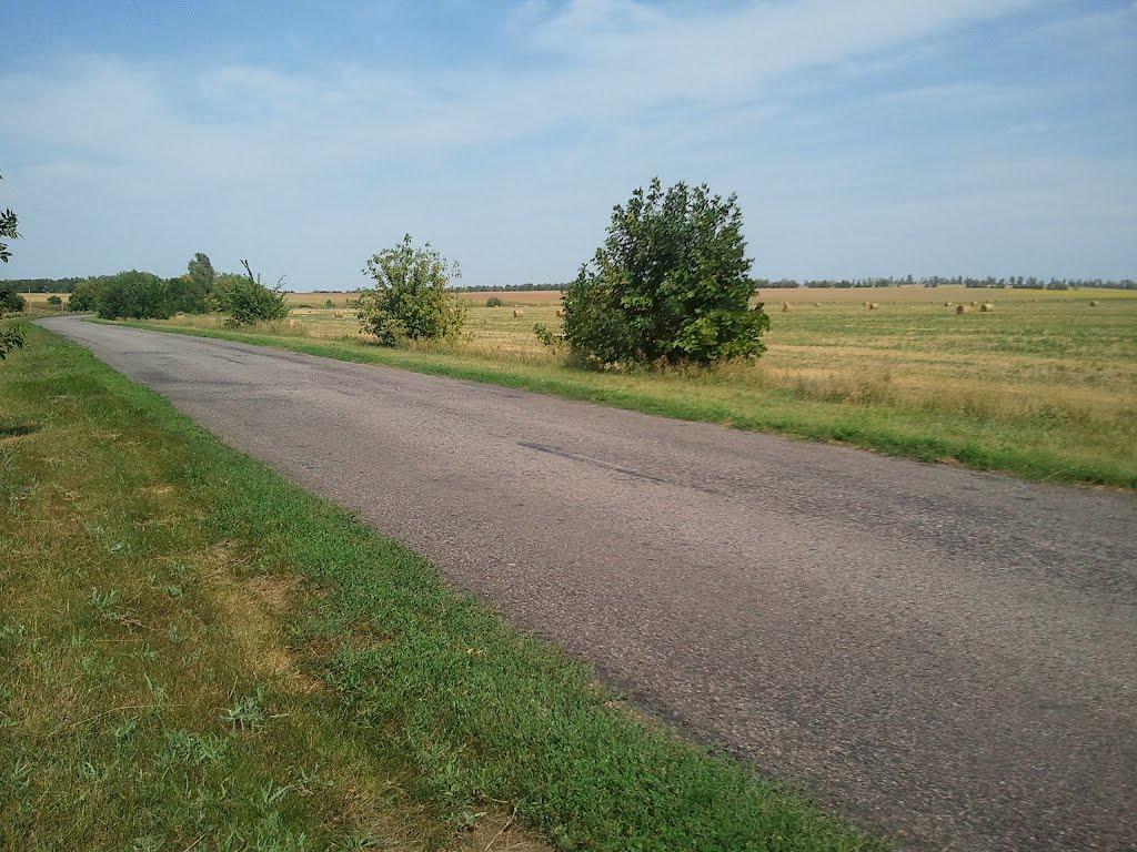 Жовтневе з panoramio.com - Жовтневое