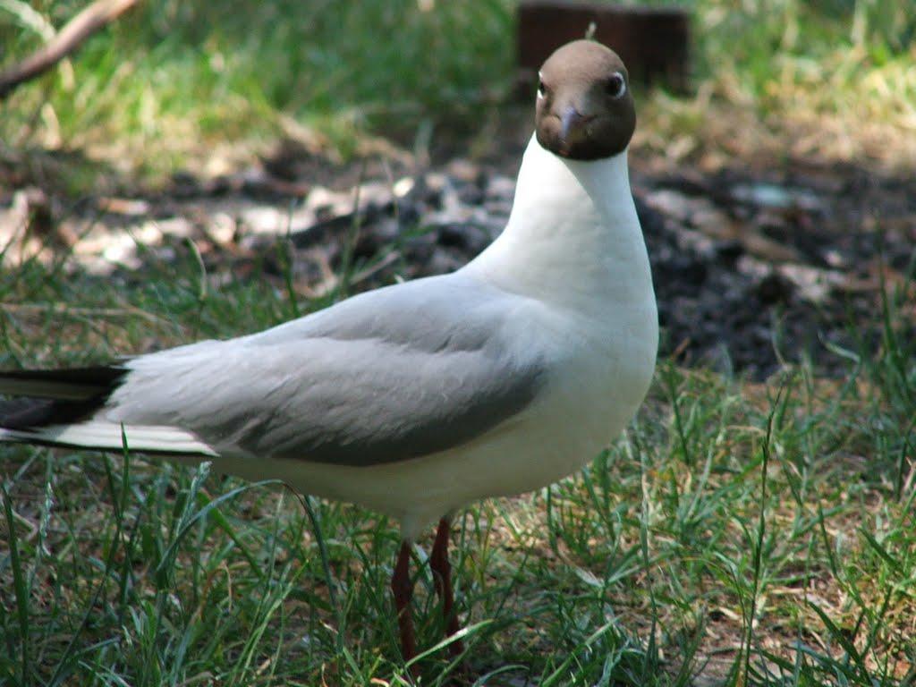 Тур з panoramio.com - Тур