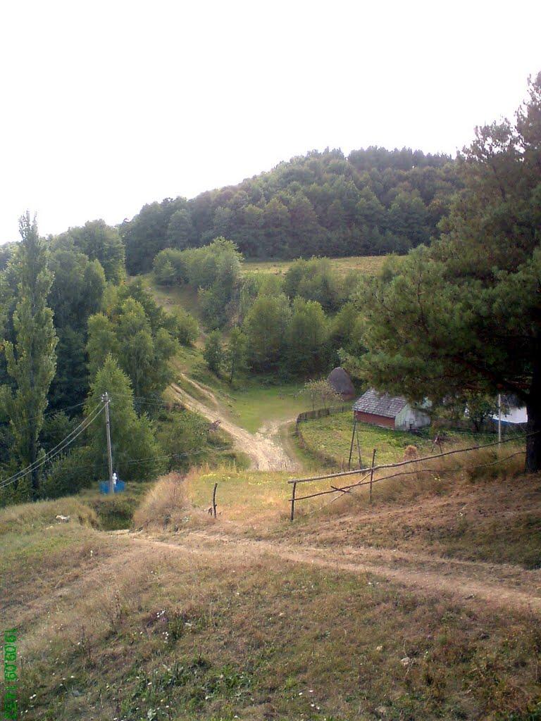 Костинці з panoramio.com - Костинці