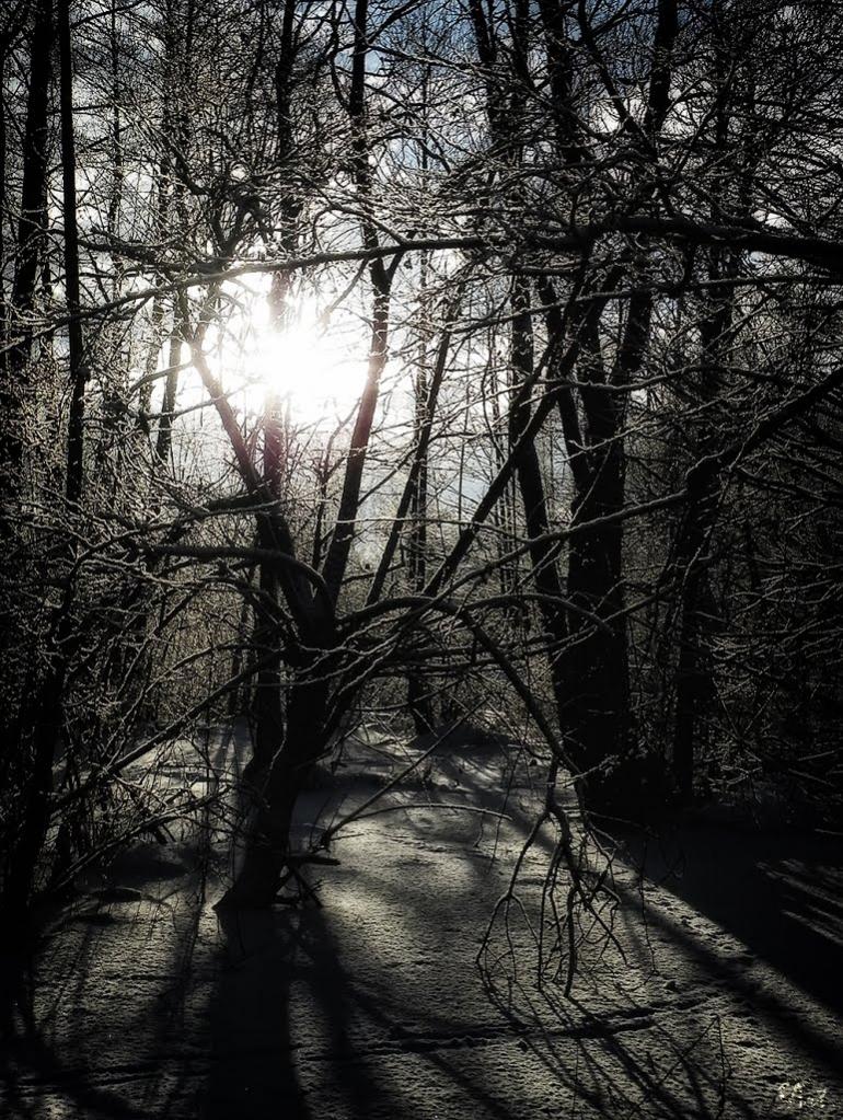 Грибова Рудня з panoramio.com - Грибова Рудня