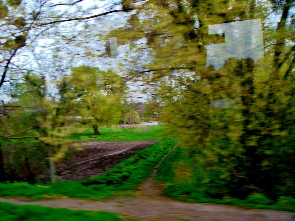 Лука з panoramio.com - Лука