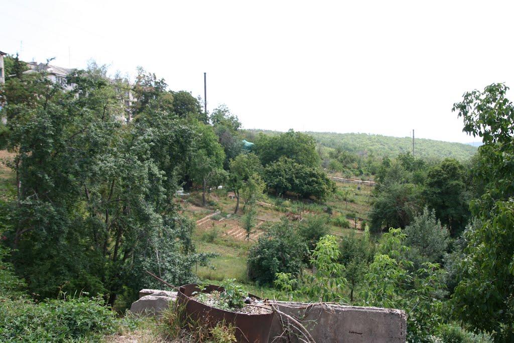 Научний з panoramio.com - Научний
