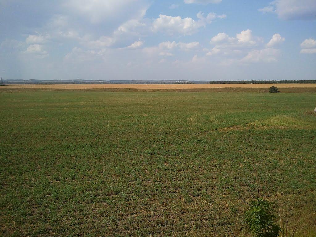 Жовтневе з panoramio.com - Жовтневое