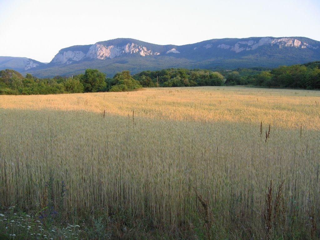Соколине з panoramio.com (ч.2) - Соколиное