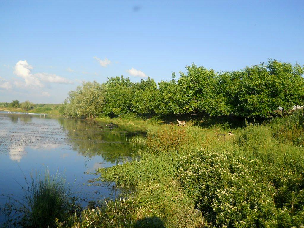 Балки з panoramio.com - Балки