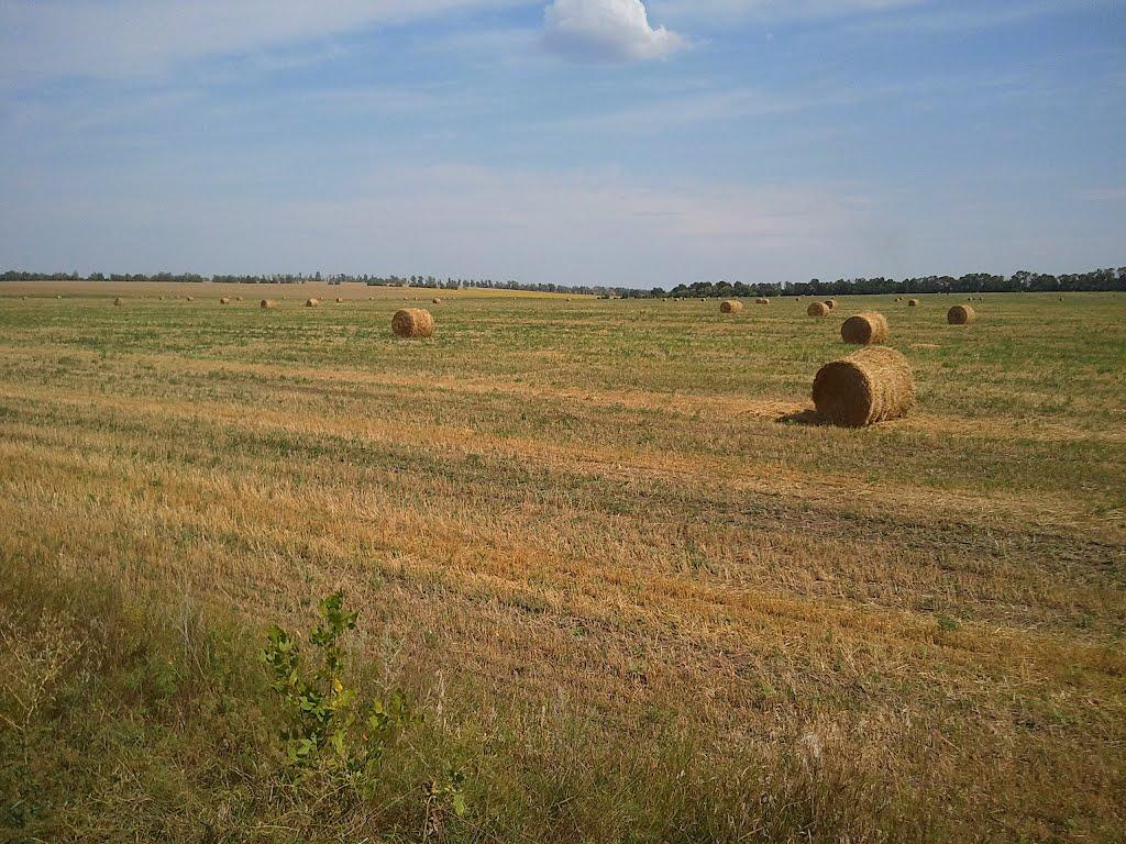 Жовтневе з panoramio.com - Жовтневое