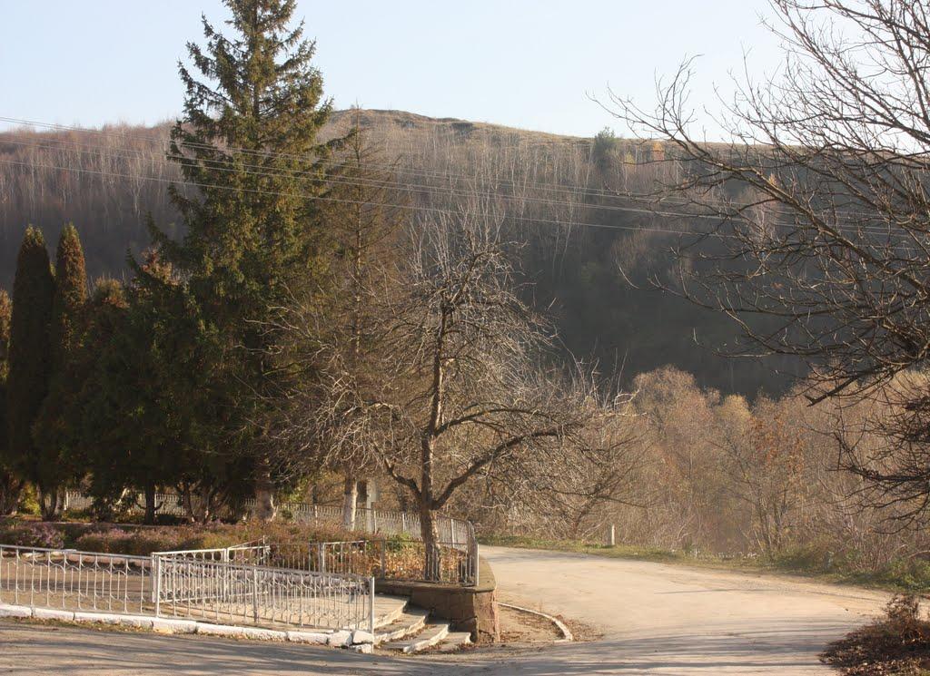 Чорний Потік з panoramio.com - Чорний Потік