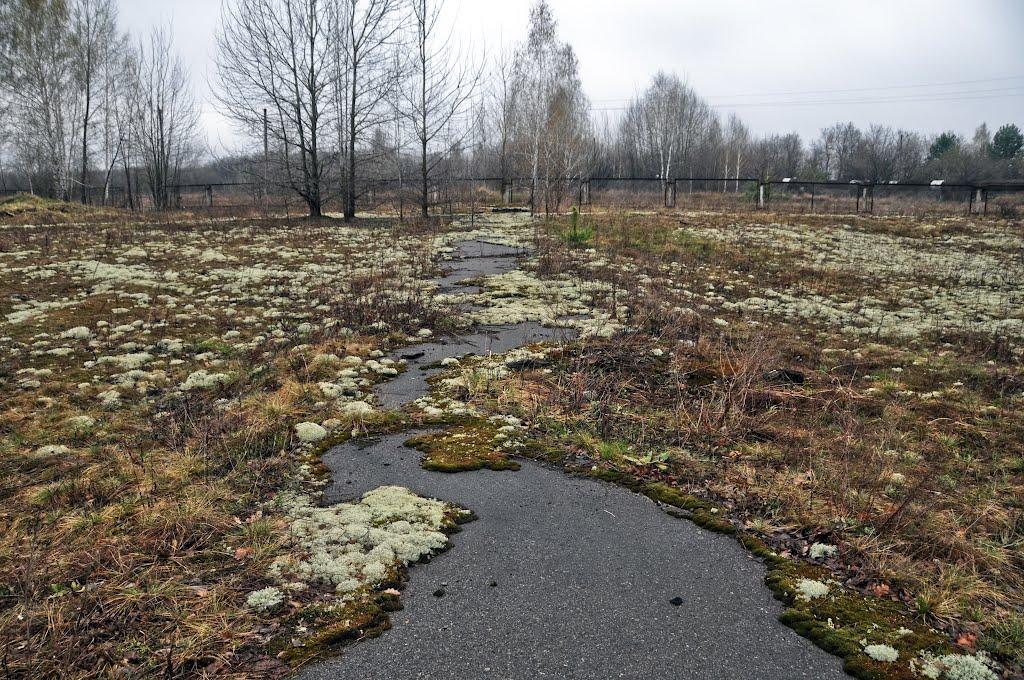 Прип'ять з panoramio.com (ч.3) - Прип'ять
