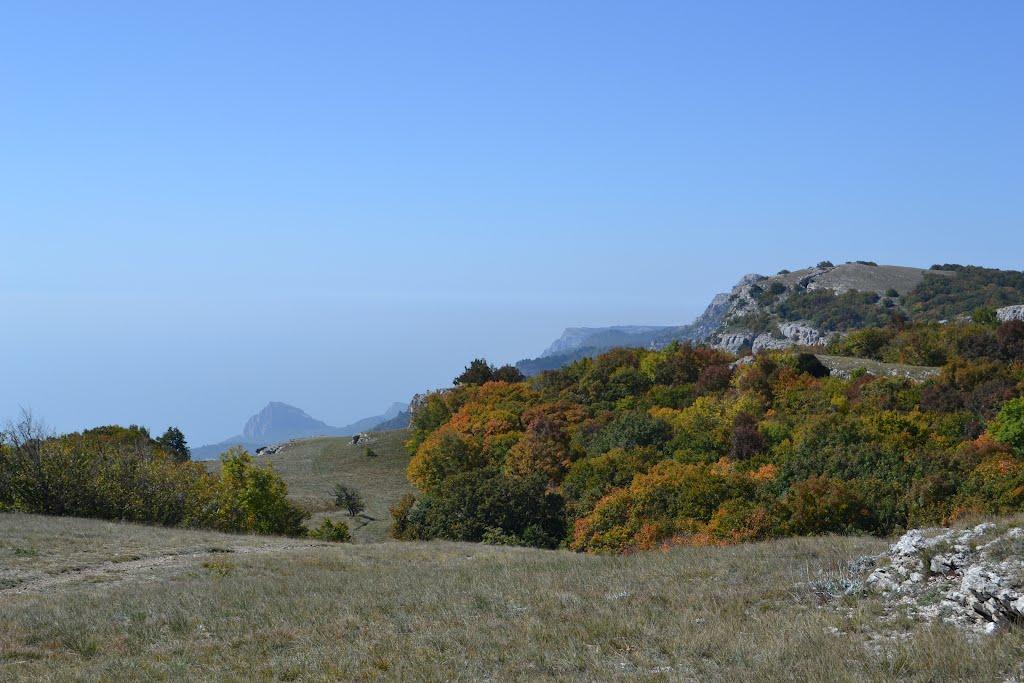 Голуба Затока з panoramio.com (ч.2) - Голубая Затока