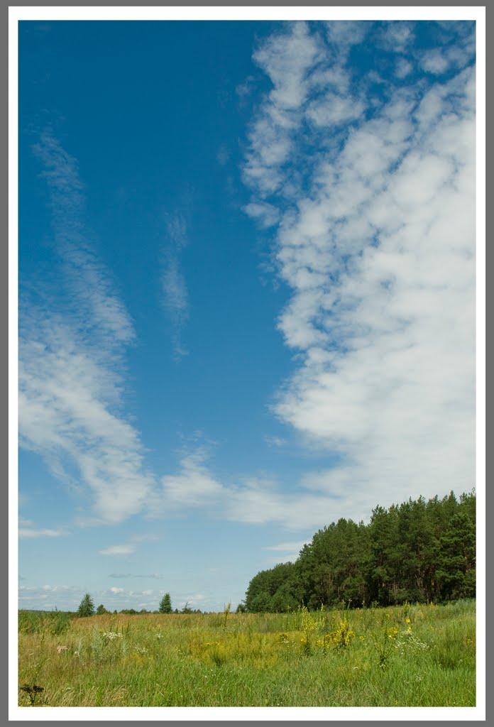 Жукин з panoramio.com - Жукин